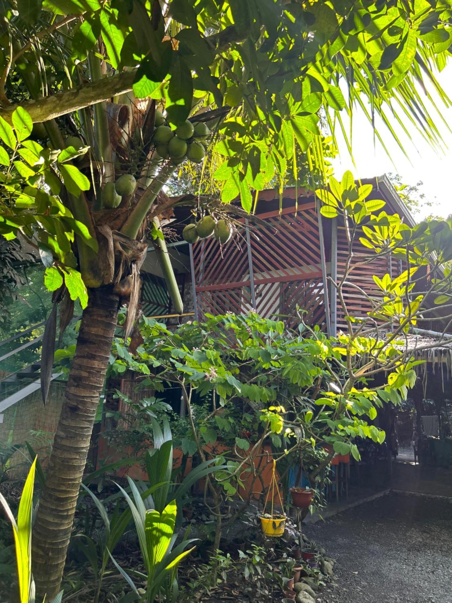 Отель Organico Punta Riel Кауита Экстерьер фото