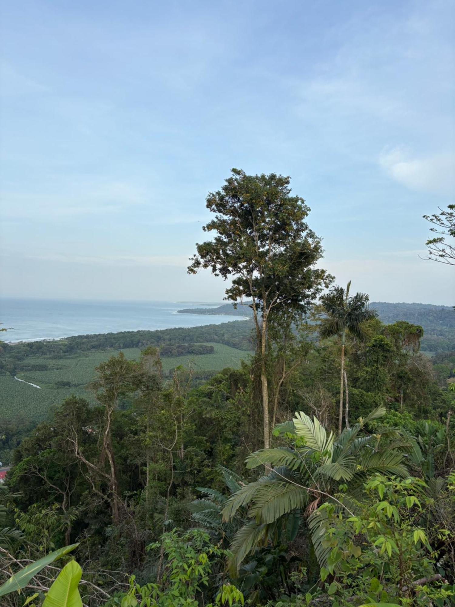 Отель Organico Punta Riel Кауита Экстерьер фото