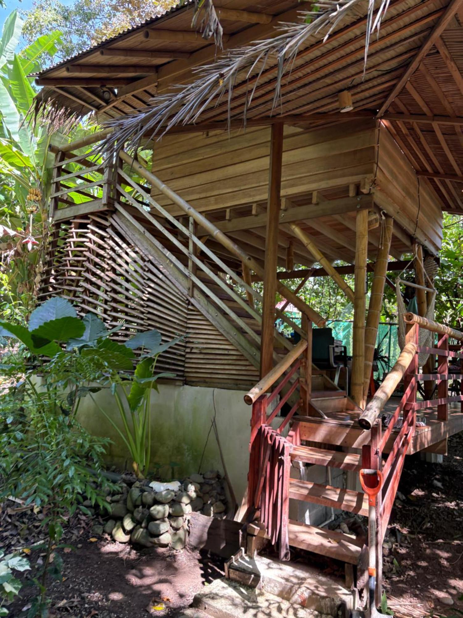 Отель Organico Punta Riel Кауита Экстерьер фото