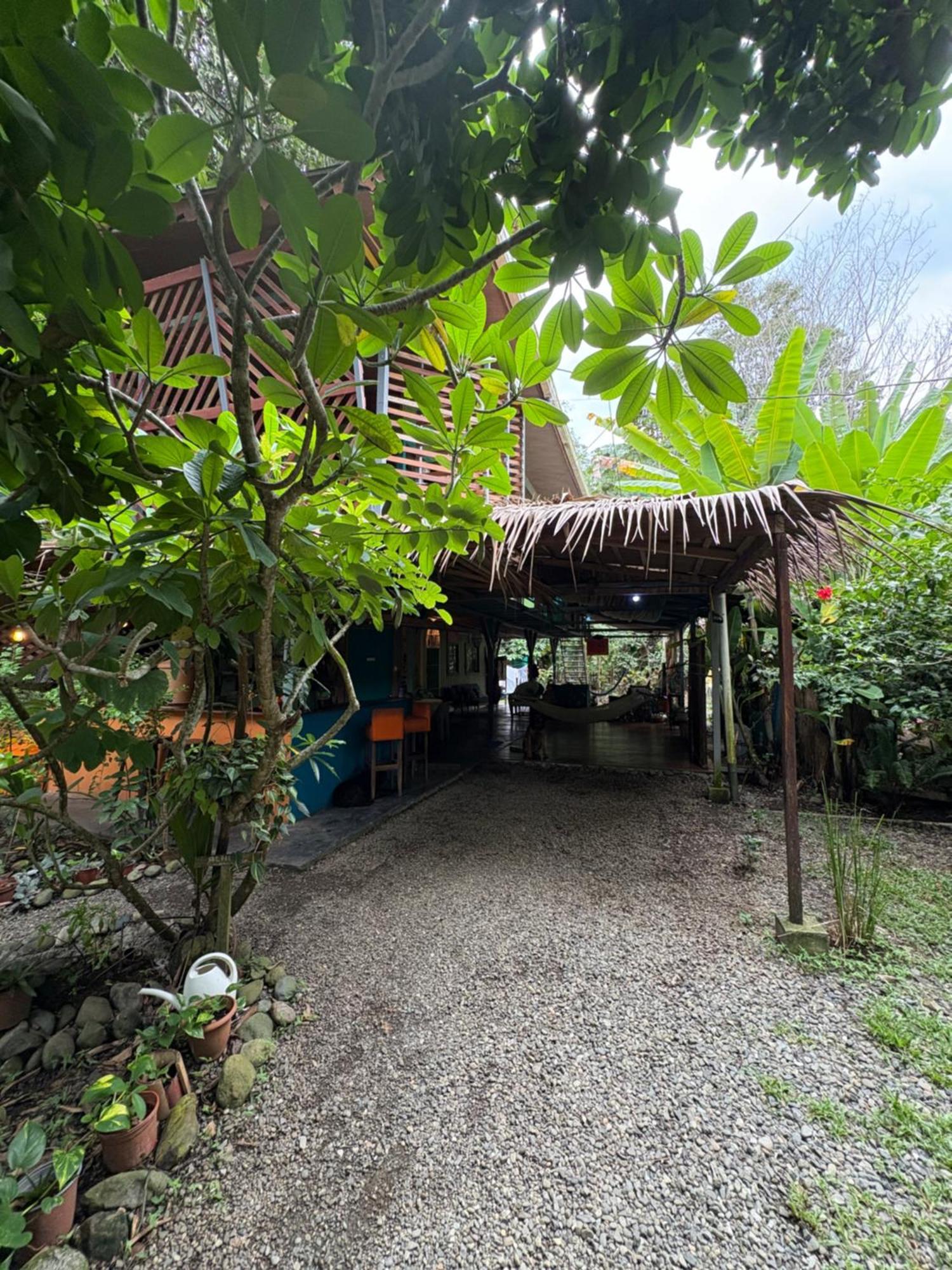 Отель Organico Punta Riel Кауита Экстерьер фото