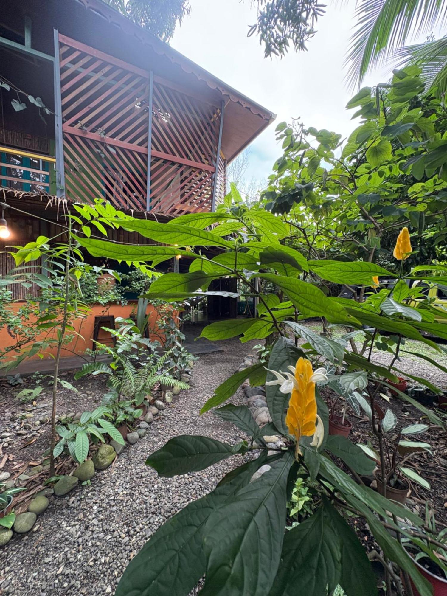 Отель Organico Punta Riel Кауита Экстерьер фото