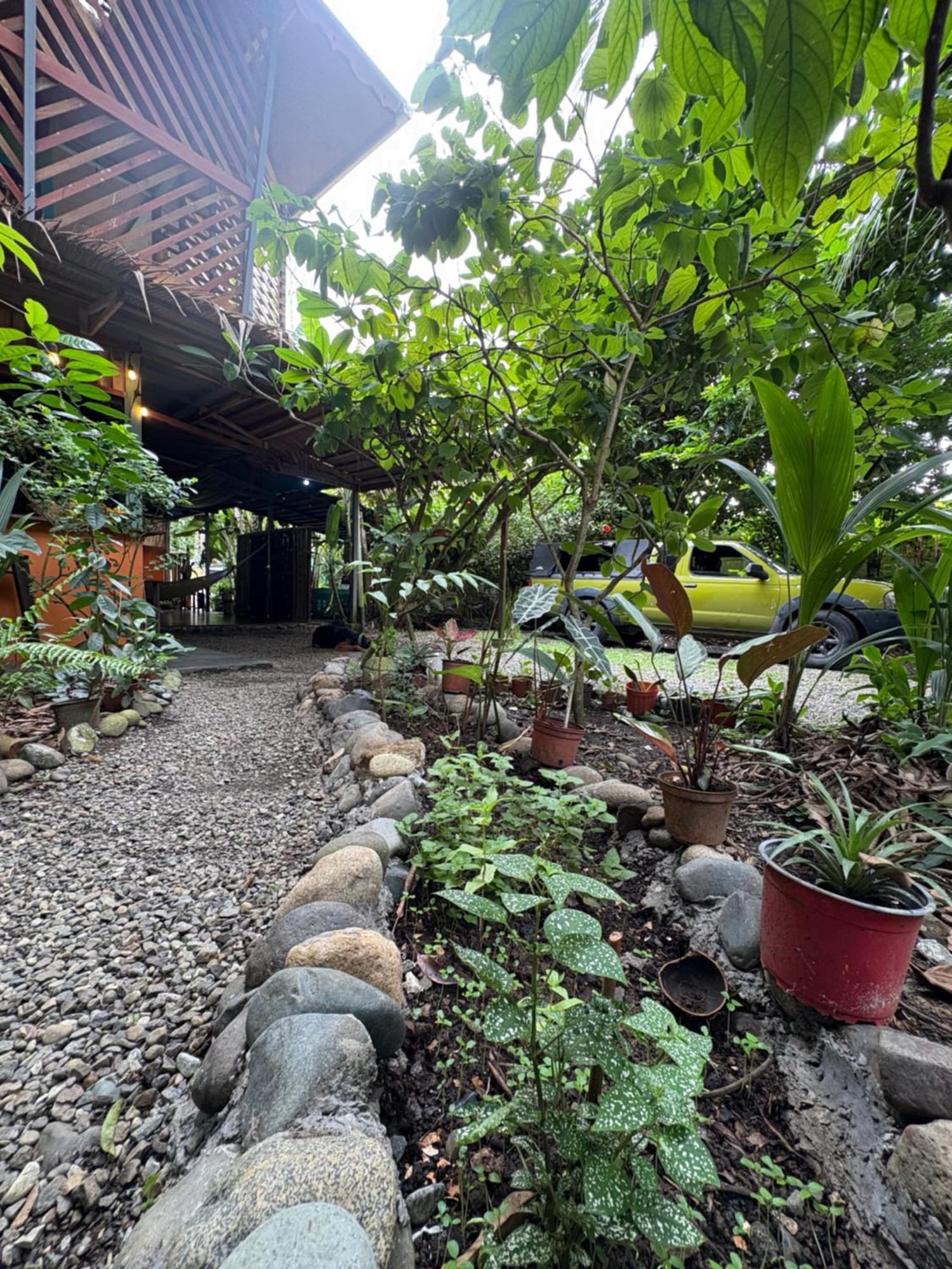 Отель Organico Punta Riel Кауита Экстерьер фото