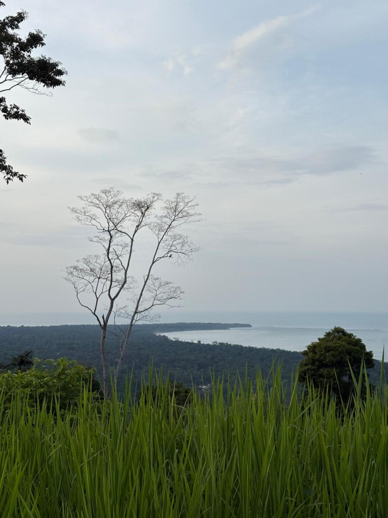 Отель Organico Punta Riel Кауита Экстерьер фото